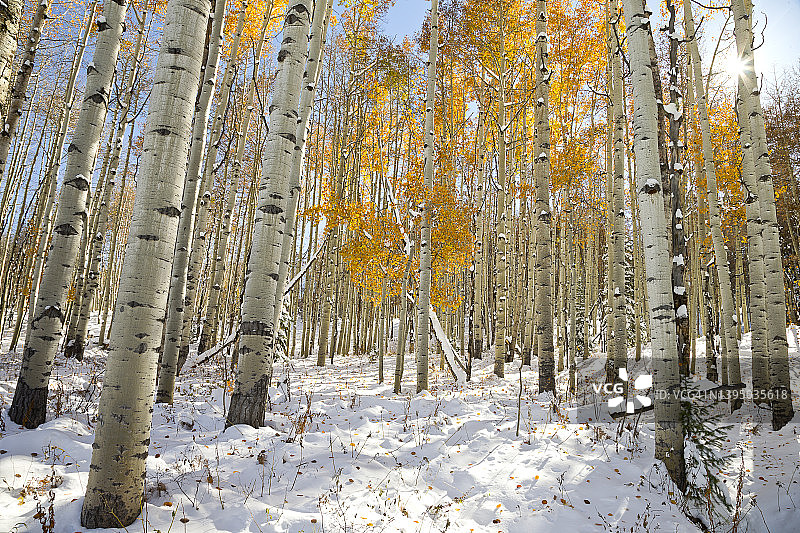秋天的彩虹色图片素材