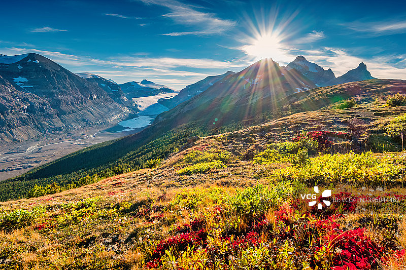 加拿大阿尔伯塔省班夫国家公园的萨斯喀彻温冰川图片素材