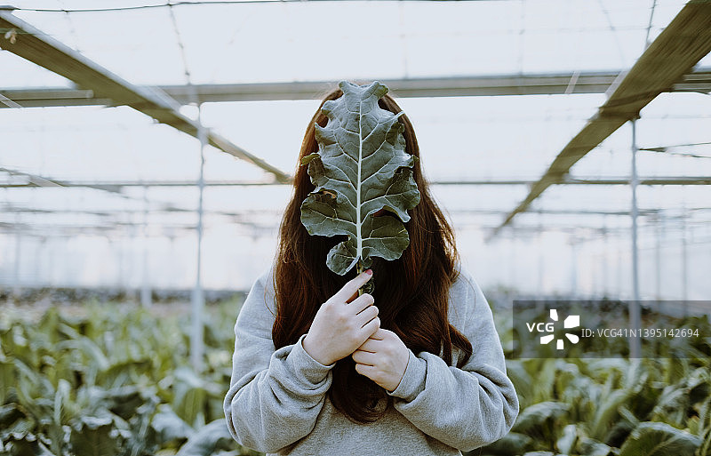 在温室里拿着蔬菜叶子的年轻亚洲女子图片素材