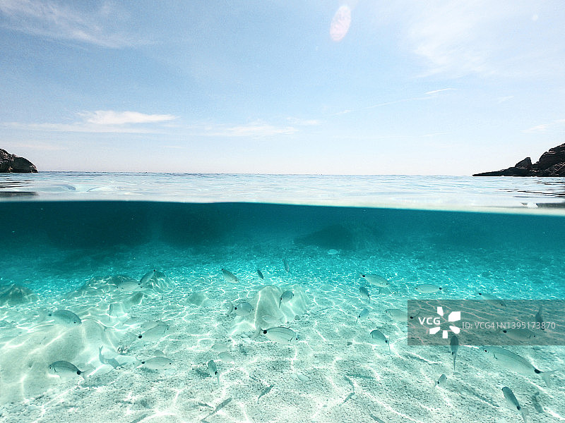 卡拉马里奥卢海湾水下的海鲷鱼群，位于撒丁岛奥罗塞伊海湾，以其清澈的绿松石色海水而闻名。图片素材