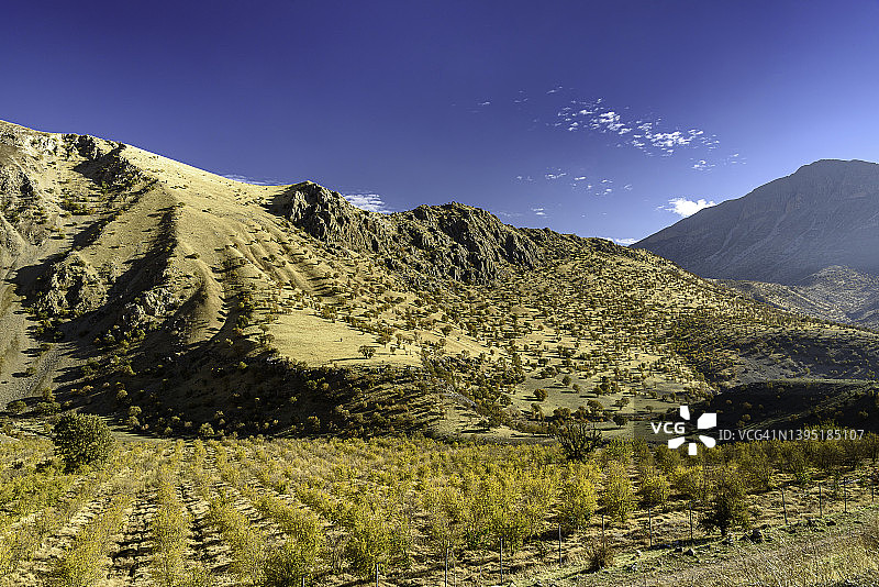 彩色风景中的明亮光线图片素材