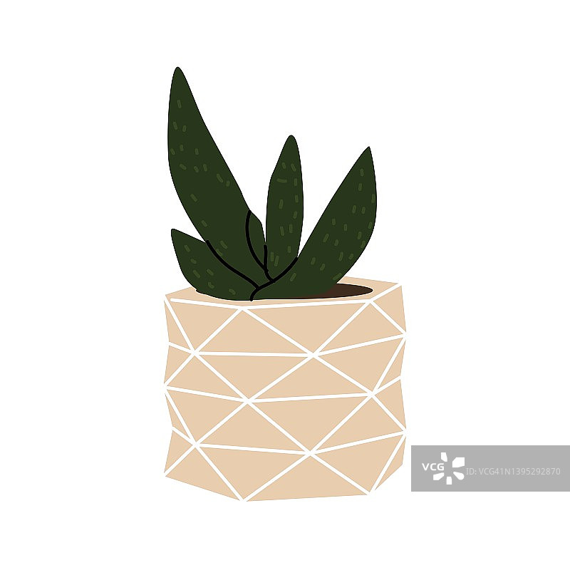 装饰花盆中的多肉植物，家居植物室内设计，植物极简主义，卡通风格，适合家庭或办公室花园的盆栽，手绘矢量插画图片素材
