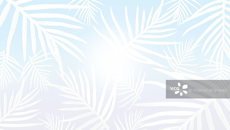 夏季热带绿棕榈叶植物背景，可添加文字图片素材