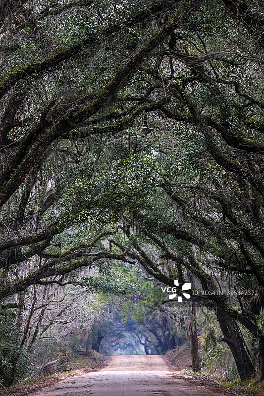 南方土路图片素材
