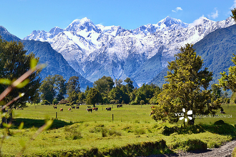 马修森湖冰川景色图片素材