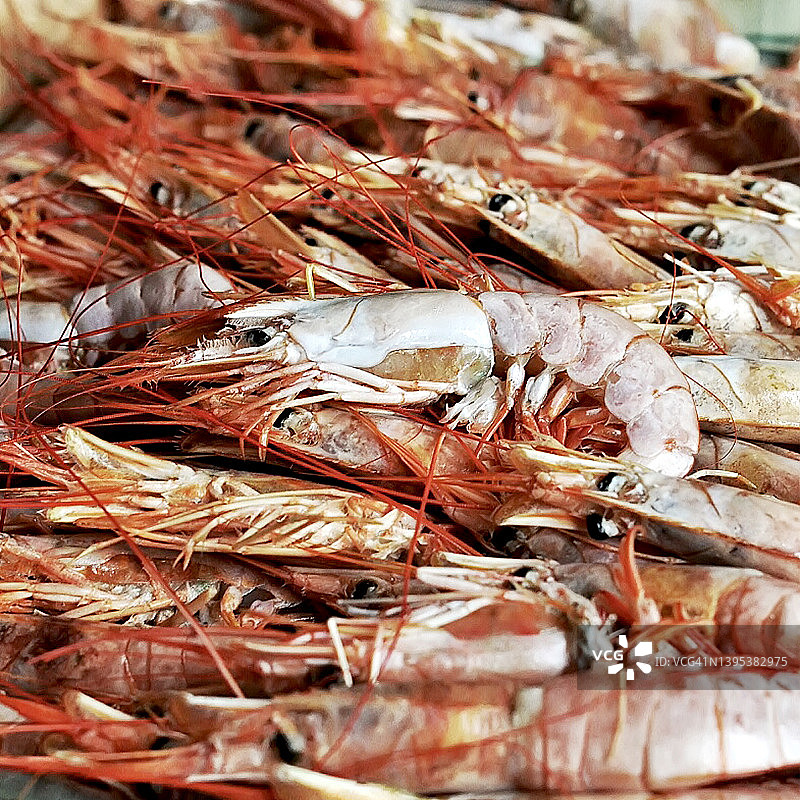 红白相间的大虾特写：鲜美纹理的视觉盛宴图片素材