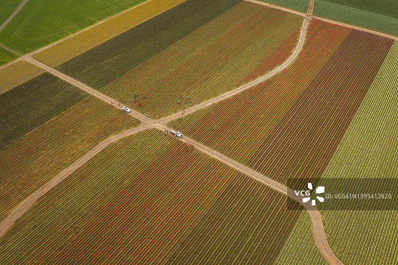 斯卡吉特山谷郁金香花田鸟瞰图图片素材