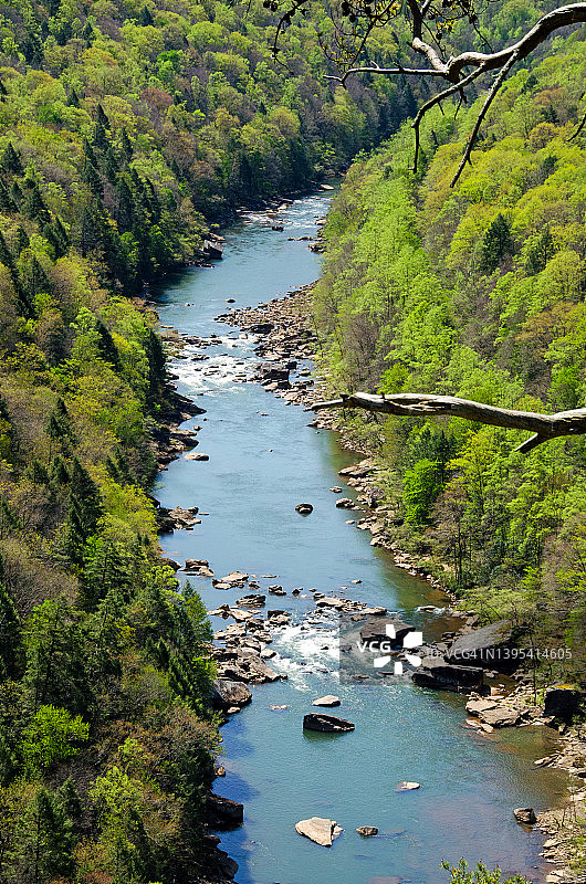 戈利河图片素材