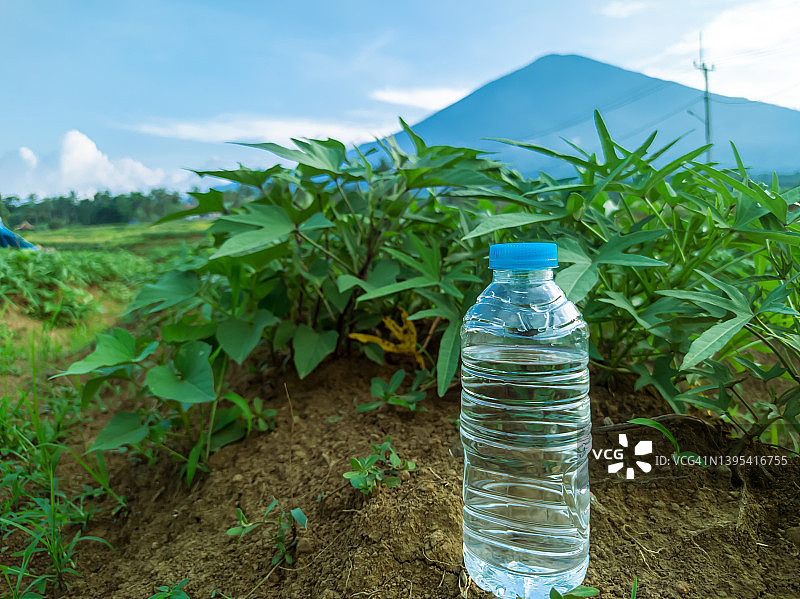 天然背景下的瓶装矿泉水图片素材