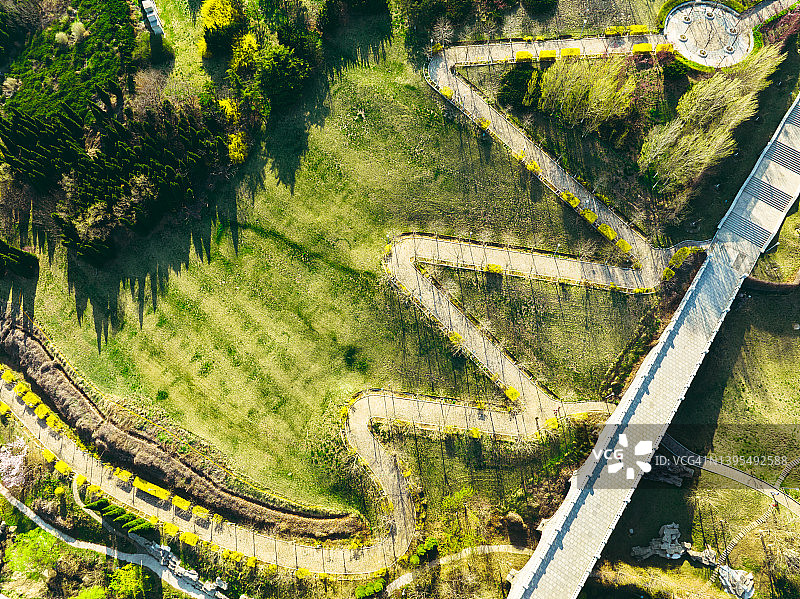 夏季公园航拍景色图片素材