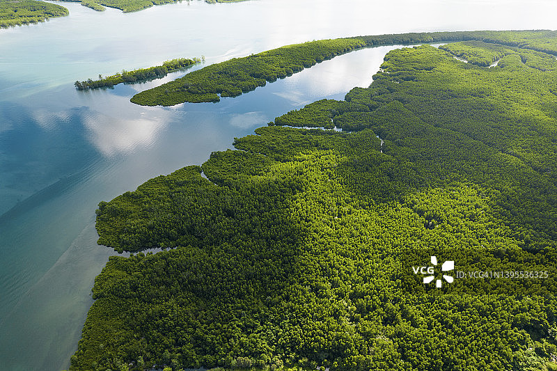 航拍：攀牙府海上的红树林图片素材