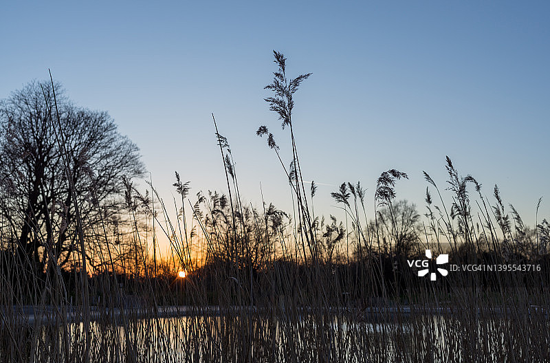 伦敦汉普斯特德池塘日落图片素材