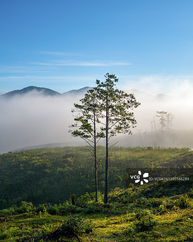 森林砍伐导致气候变化图片素材