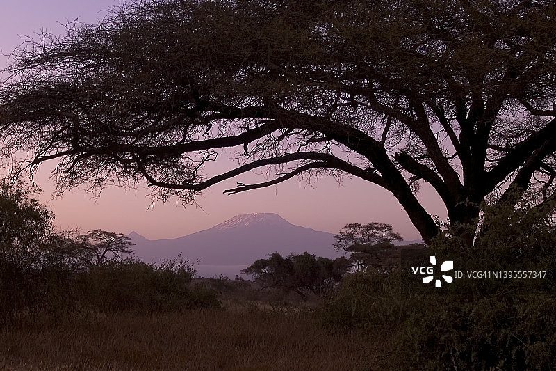 肯尼亚安博塞利国家公园的日出与乞力马扎罗山图片素材