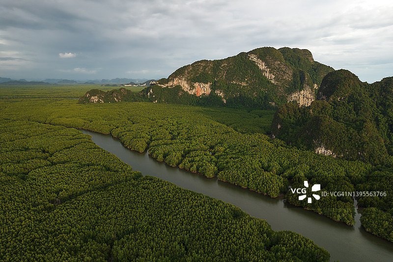 泰国攀牙湾红树林航拍图片素材