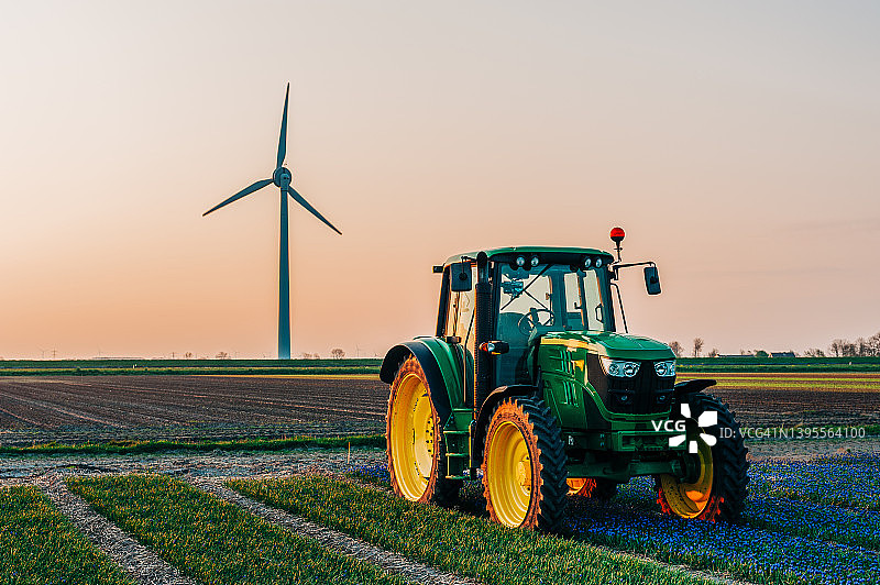 日出时分郁金香田里的拖拉机图片素材