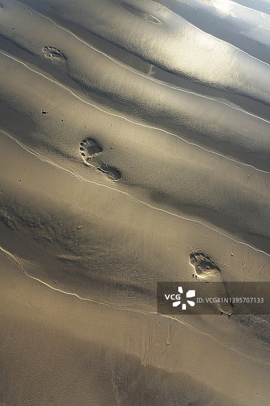 沙滩上的脚印图片素材