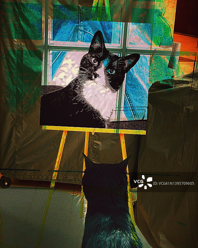 猫咪艺术鉴赏家图片素材