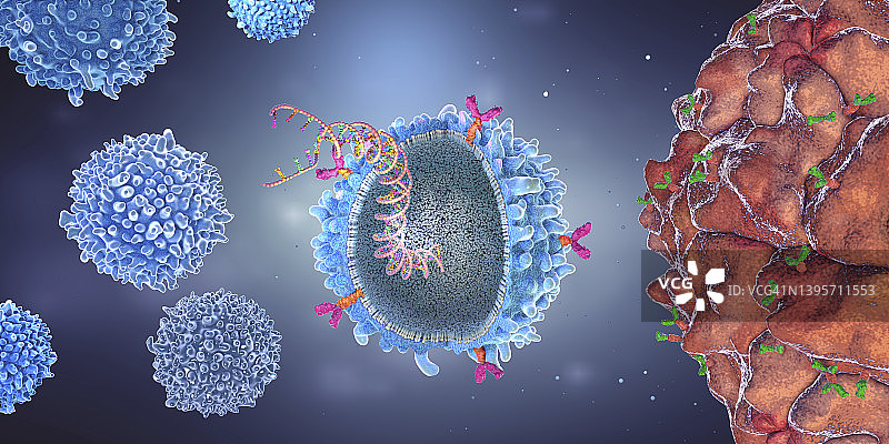 带有植入基因株的CAR T细胞，图示图片素材