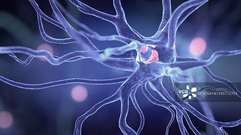 人类神经细胞，插图图片素材