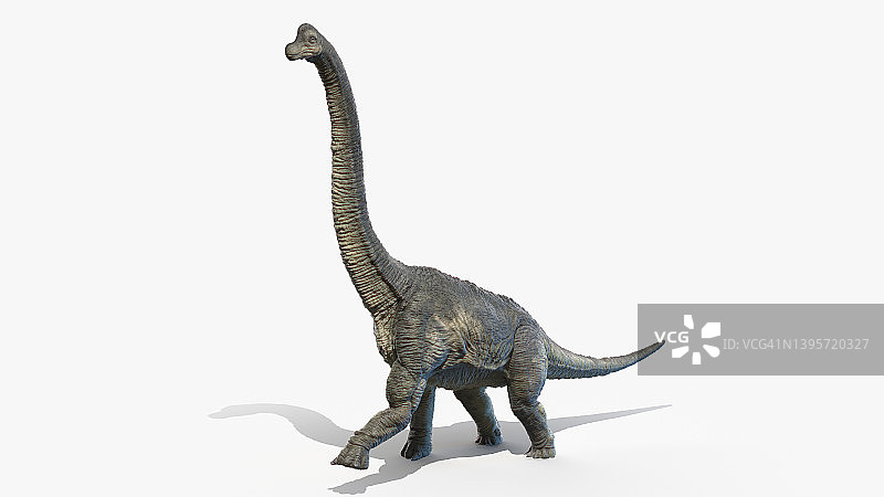 腕龙插画图片素材