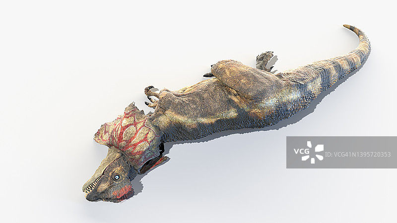 双脊龙插画图片素材