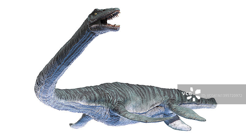 蛇颈龙插画图片素材