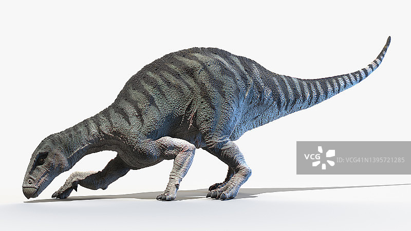 禽龙插画图片素材