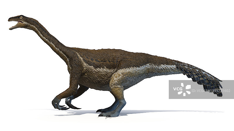 镰刀龙插画图片素材