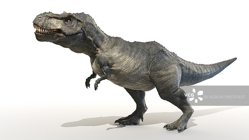 霸王龙插画图片素材