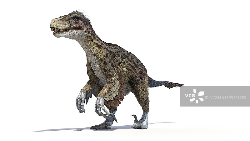 犹他盗龙插画图片素材