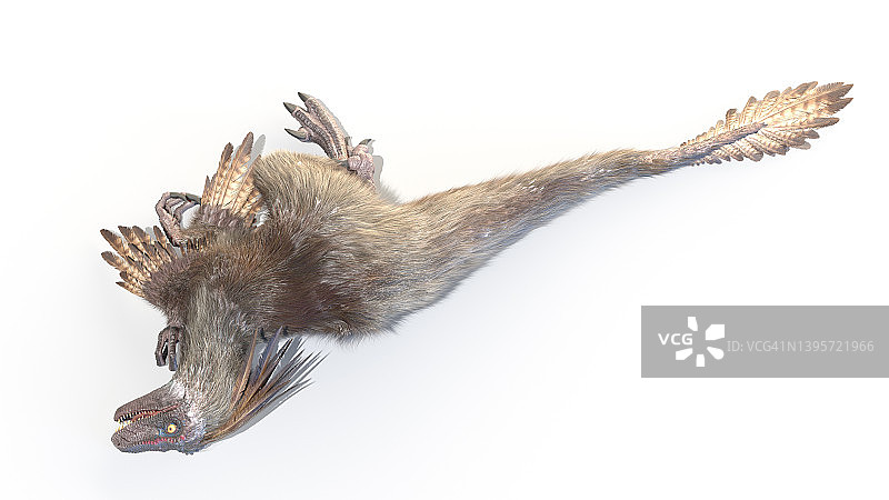 迅猛龙插画图片素材