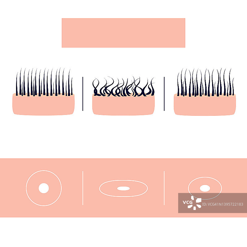 头发类型概念图图片素材