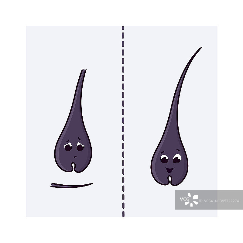 头发健康概念插画图片素材