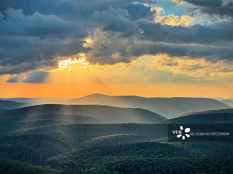 云杉旋钮图片素材