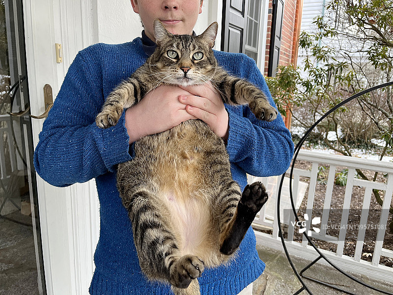 少年抱着超重猫的特写图片素材