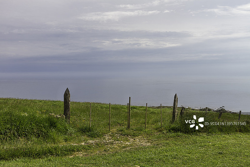 海边的绿色草原图片素材