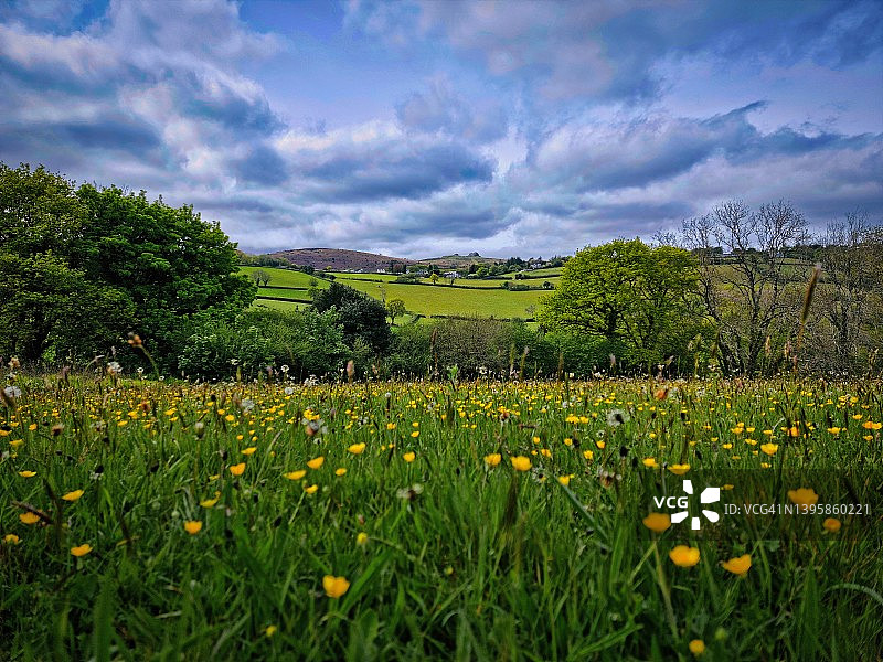 达特穆尔的春天图片素材