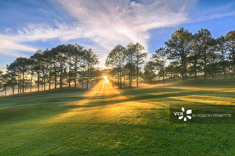 草地上美丽的阳光图片素材