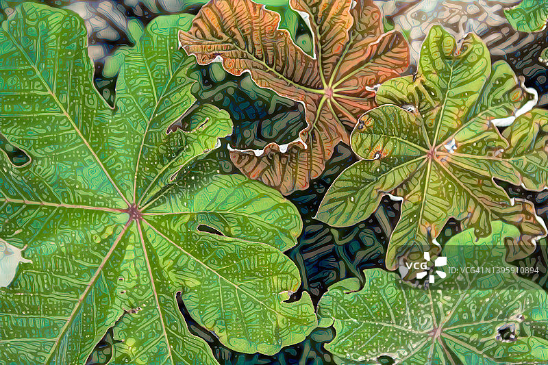 图形树叶图片素材