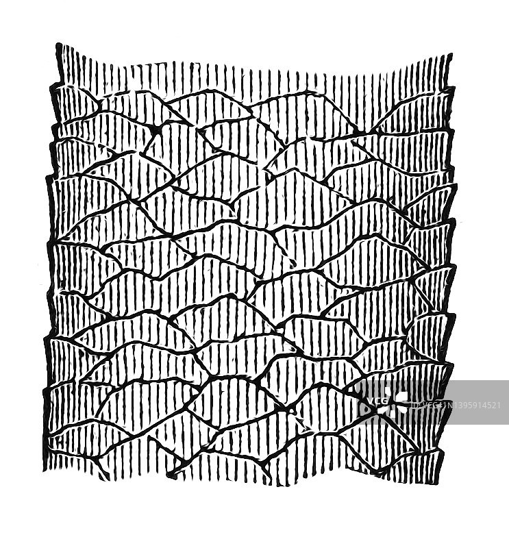 显微镜下头发外观的古老雕刻插图图片素材