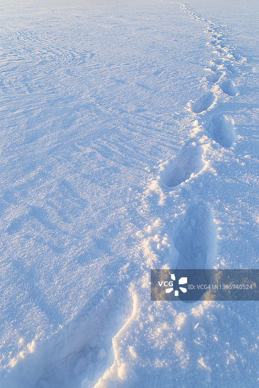 雪地上的脚印图片素材