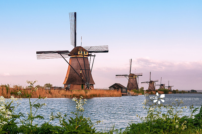 金德代克传统荷兰风车的日落图片素材