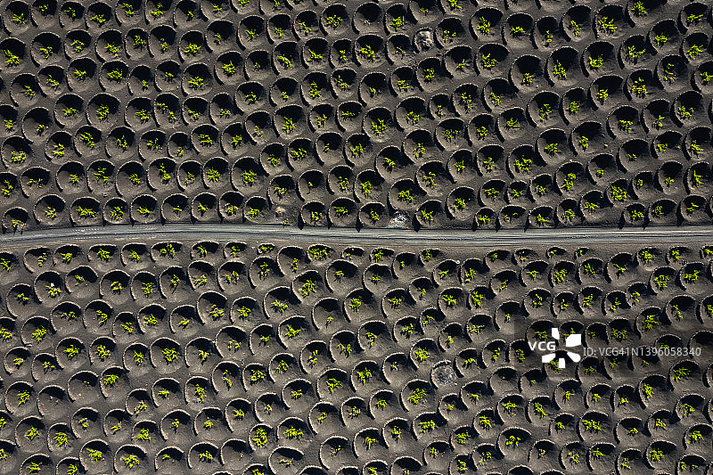 西班牙兰萨罗特岛蒂曼法亚国家公园传统火山葡萄园鸟瞰图图片素材