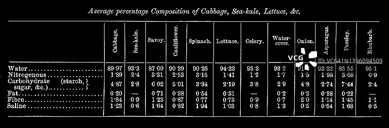 卷心菜、海甘蓝和莴苣平均成分百分比的古老雕刻插图图片素材
