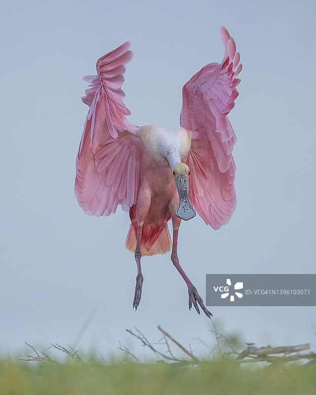 勺子降落图片素材