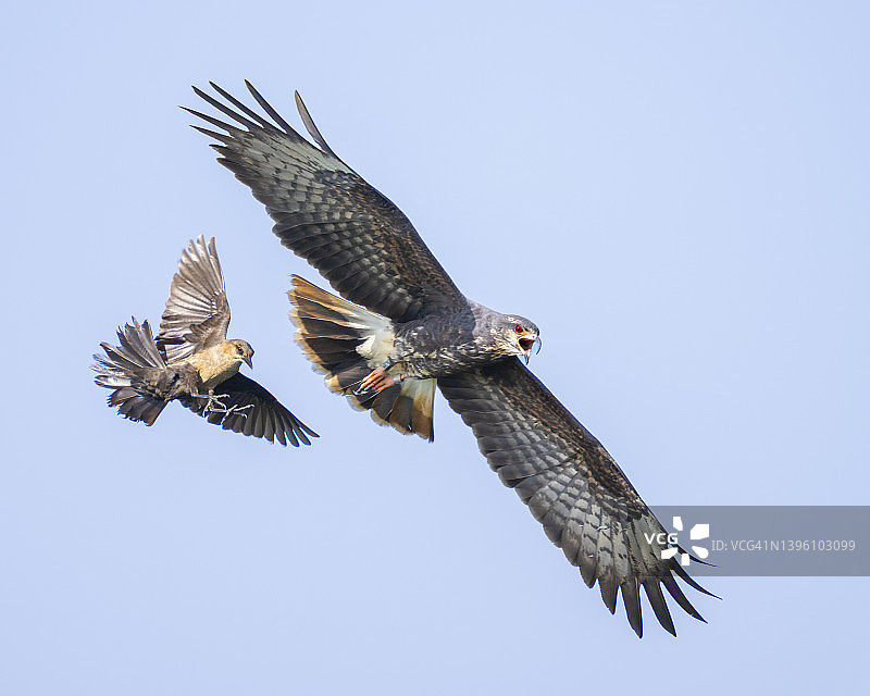 尺寸不重要图片素材