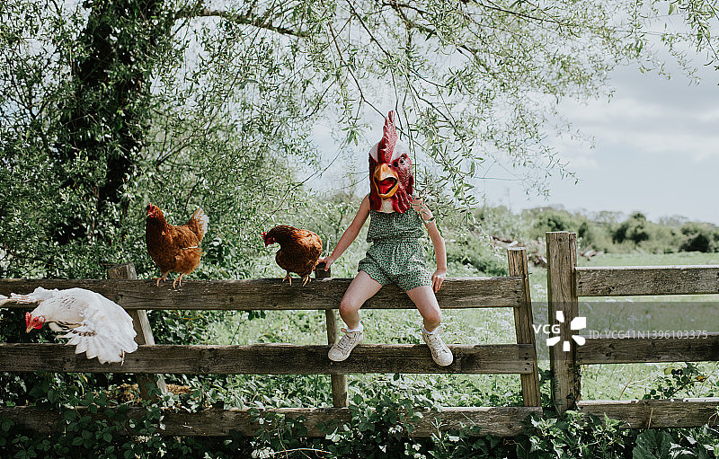 小女孩戴着橡胶公鸡面具，与真母鸡在一起的有趣画面图片素材