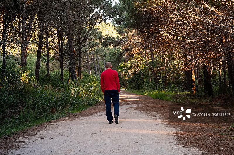 男子在森林小路上行走图片素材