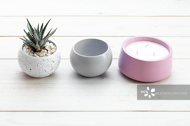 混凝土花盆里的多肉植物：室内仙人掌，室内植物。设计潮流。图片素材